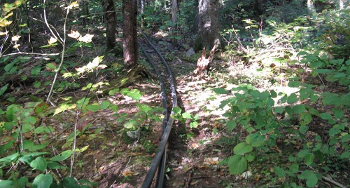 high head mini hydro